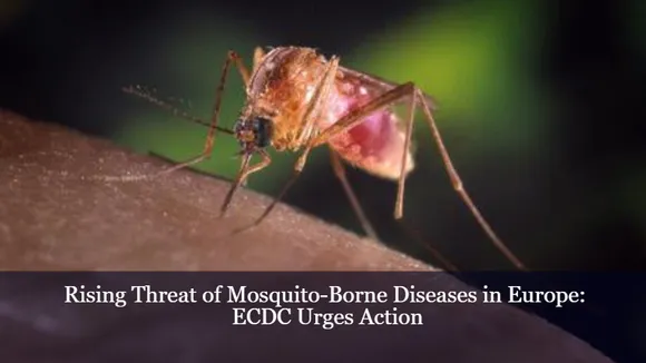 Rising Threat of Mosquito-Borne Diseases in Europe: ECDC Urges Action