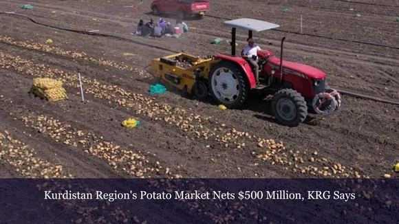 Kurdistan Region's Potato Market Nets $500 Million, KRG Says