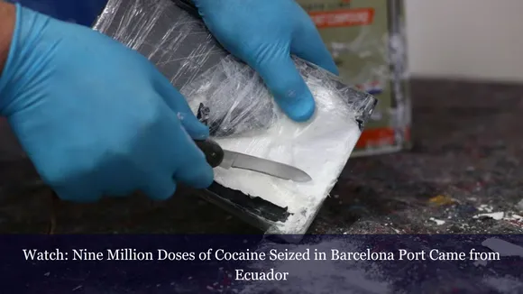 Nine Million Doses of Cocaine Seized in Barcelona Port Came from Ecuador