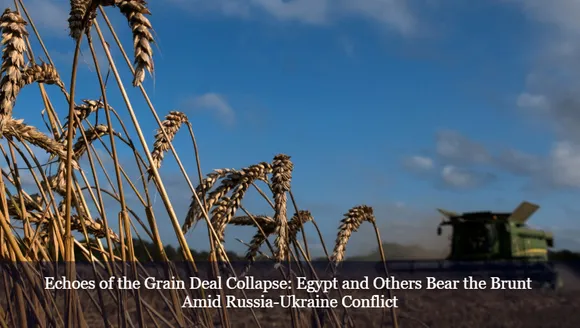 Echoes of the Grain Deal Collapse: Egypt and Others Bear the Brunt Amid Russia-Ukraine Conflict