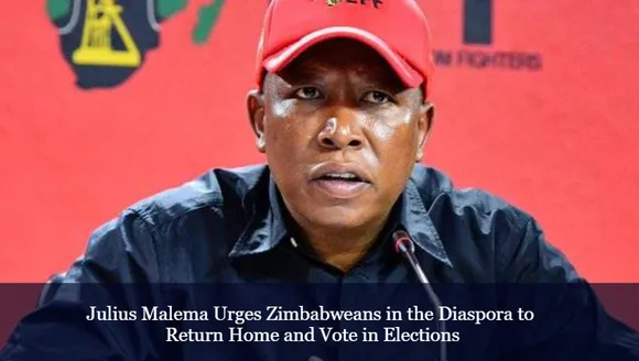 Julius Malema Urges Zimbabweans in the Diaspora to Return Home and Vote in Elections