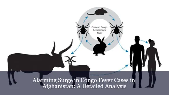 Alarming Surge in Congo Fever Cases in Afghanistan: A Detailed Analysis