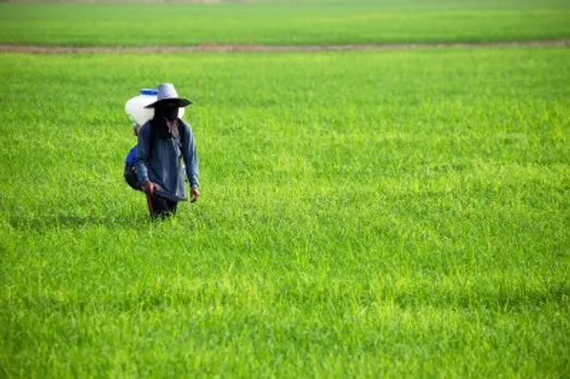 Climate analytics can help in saving farmers' lives and money