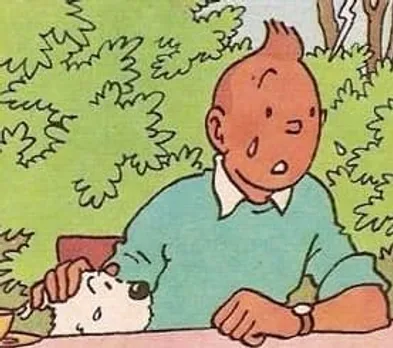 Why is Tintin Crying?