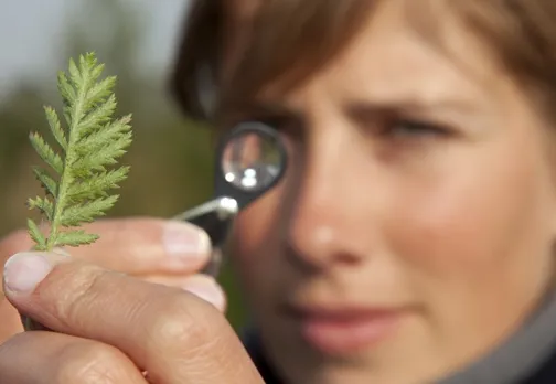 Looking To Nature To Solve Pressing Climate Change Issues