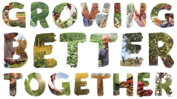 Monsanto Releases Its 2016 Sustainability Report