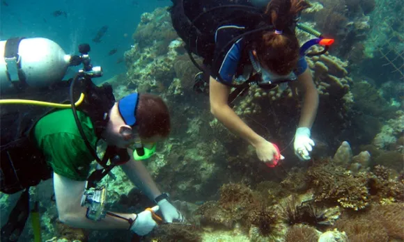 Projects Abroad Answers Call To Curb Effects Of Coral Bleaching