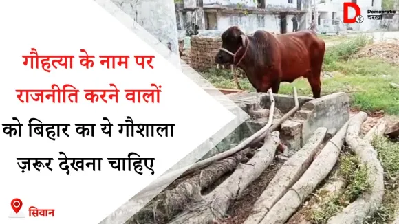 गौहत्या के नाम पर राजनीति ज़रूर होती है लेकिन इन गाय को देखने वाला कोई नहीं होता है
