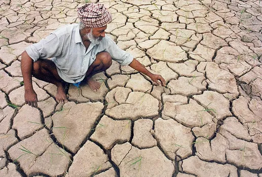 बिहार में सूखा: क्या प्रदेश को अब 'सूखा ग्रसित' घोषित किया जाएगा?