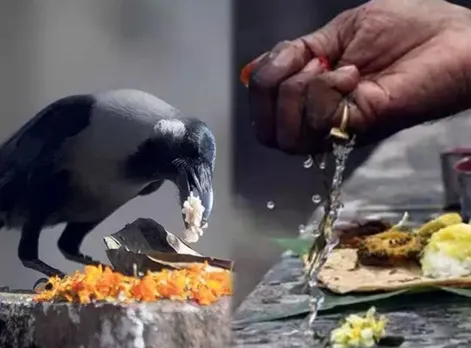 Sarvapitra amavasya 2021 importance and tithi
