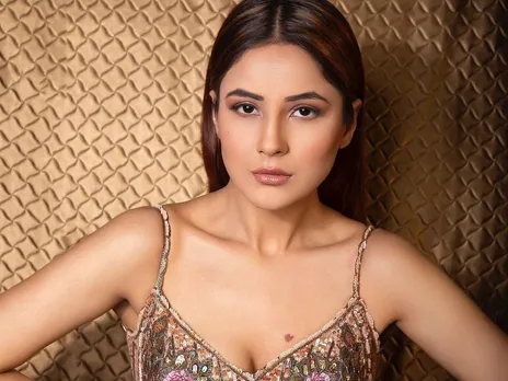 Shehnaaz Gill to return to work soon? Here's what Honsla Rakh makers said