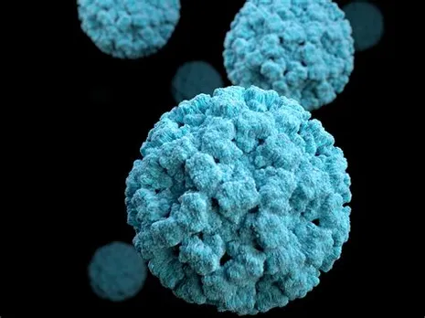 Norovirus symptoms