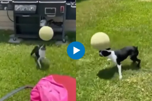 Viral Video