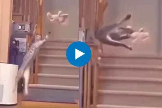 Viral Video