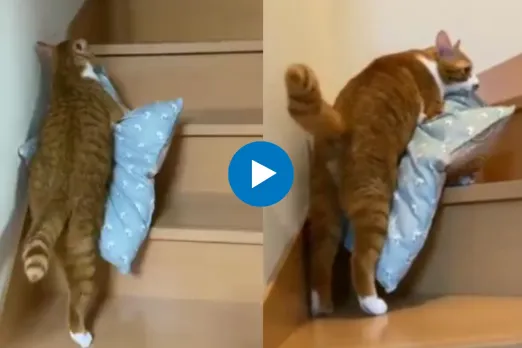 Viral Video