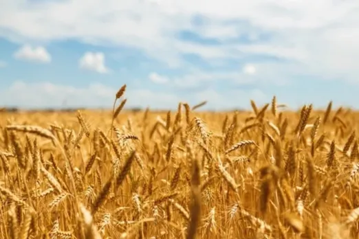 Punjab