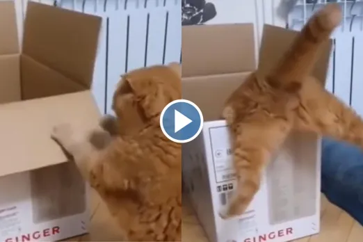 Viral video