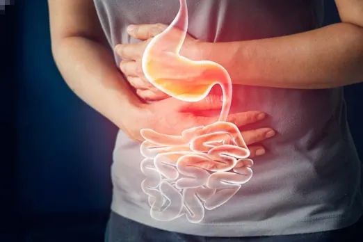 Digestion