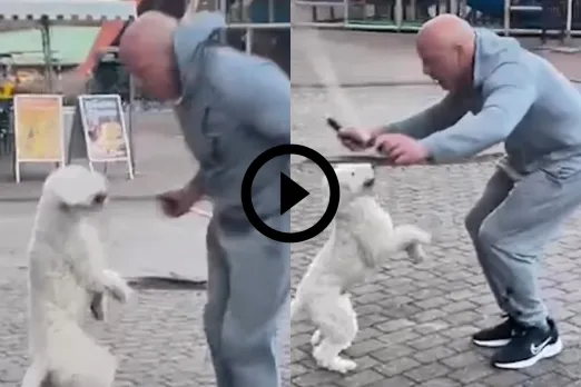 Viral Video