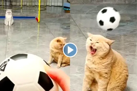 Viral video