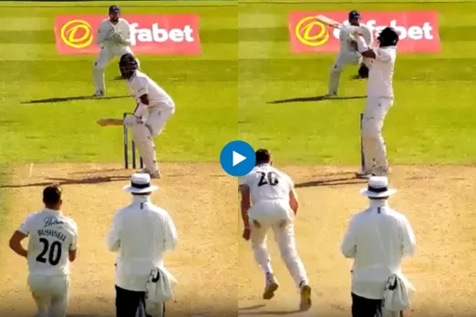 Cricket Viral Video