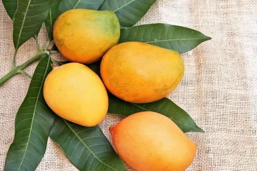 benefits of mango on the face