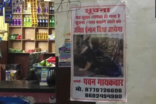 Gwalior IAS pet dog