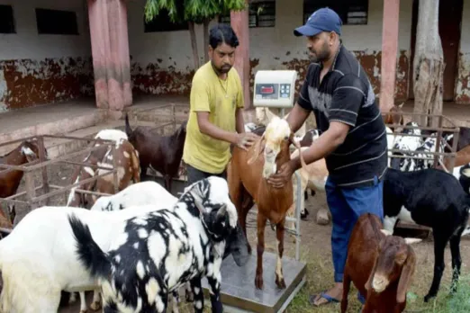Eid-ul-Adha 2023