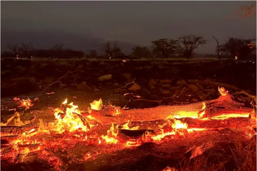 Maui wildfire