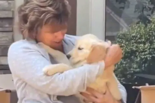 Viral Animal Video