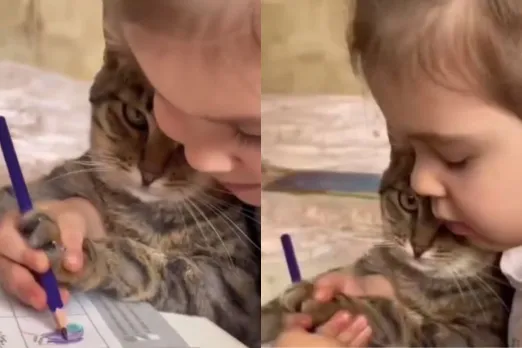 Animal Viral Video