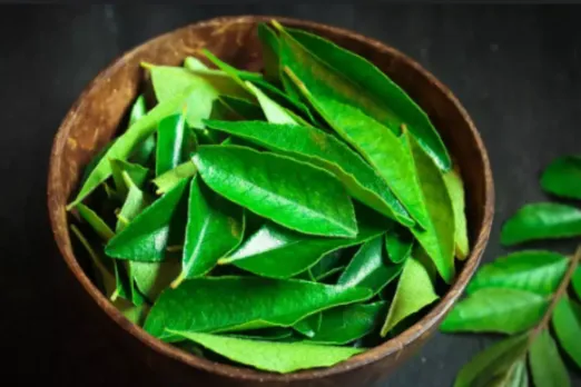 Curry Leaves Benefits