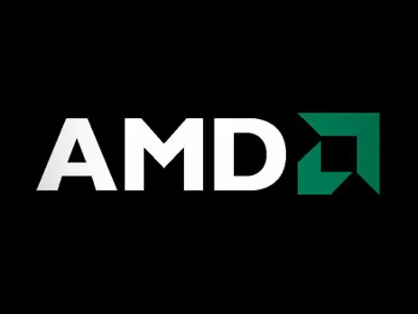 AMD India Appoints New Head for Enterprise and Consumer Businesses