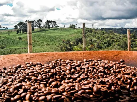 How Coffee farmers are making a move with cloud