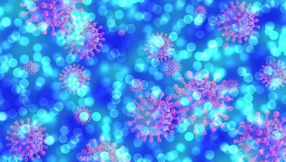 IIT Mandi researchers clarify molecular structure of Endodomain of the spike protein of the coronavirus