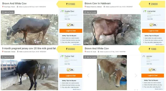 Cow up for online Sale after Govt’s ban on sale of cow for slaughter