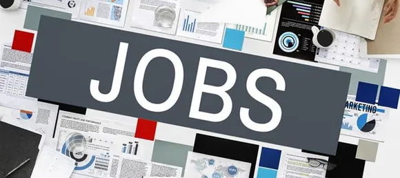 SCIKEY Indicates an Uptick in Demand for Job Roles in IT Sector
