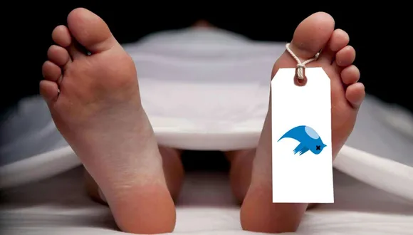 Twitter no longer on 'death bed'