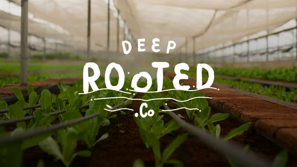 Deep rooted