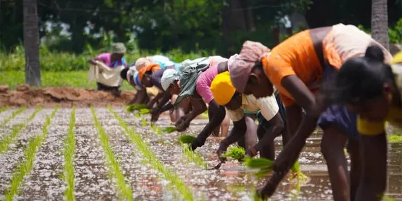 Rainmatter Foundation calls for a ‘fair’ consultation on AgriStack
