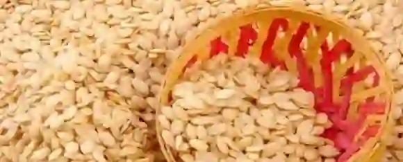 Muskmelon Seeds: ड्राई फ्रूट्स की तरह इस्तेमाल करें खरबूज के बीच