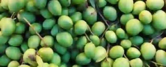 Raw Mangoes Benefits: जानें कच्चे आम के 5 फायदे हमारे स्वास्थ्य पर