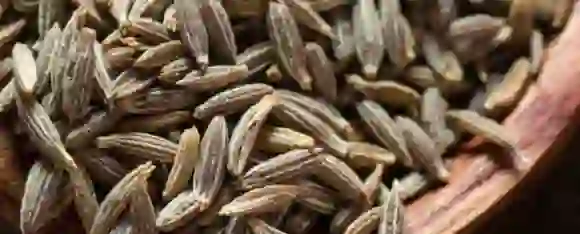 Spices Consumption: कौन से मसाले किसमें कितना डालें
