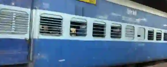 ट्रेन में नशे में टिकट कंडक्टर ने महिला यात्री पर किया पेशाब