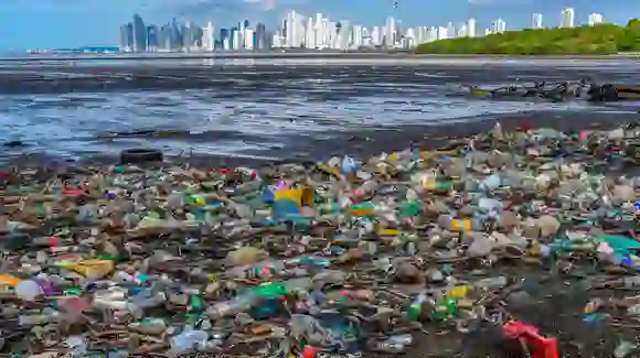 Why Plastic Is Bad For Us: जानें प्लास्टिक बैन करने के 5 बडे़ फायदे
