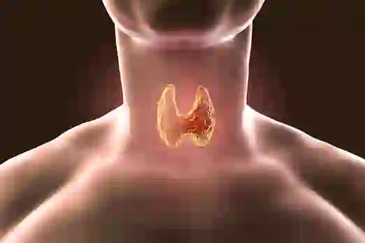 Thyroid Disease : जानिए थायरॉइड के लक्षण और कारण