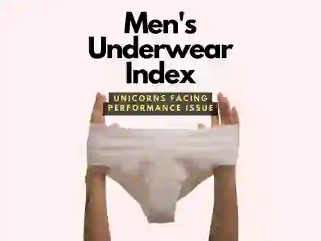 Men's Underwear Index: Why Nykaa's Profits Dropped by 70% in Q4, Indicating Low Vitality Among Unicorns!