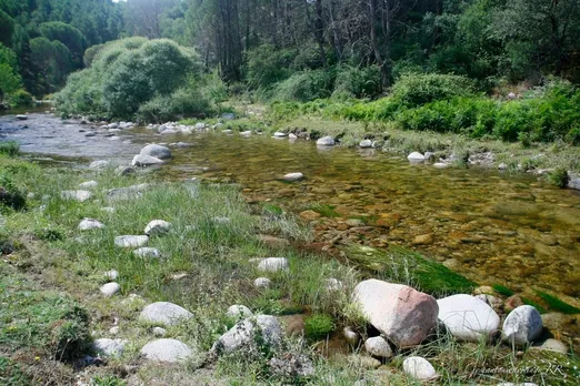 The Reprua River  