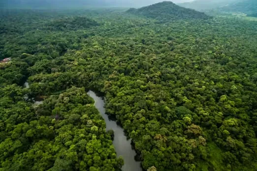 215M hectares of forest larger than Mexico