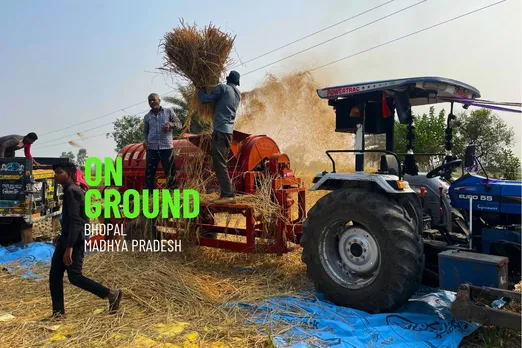 Paddy Cultivation in Madhya Pradesh